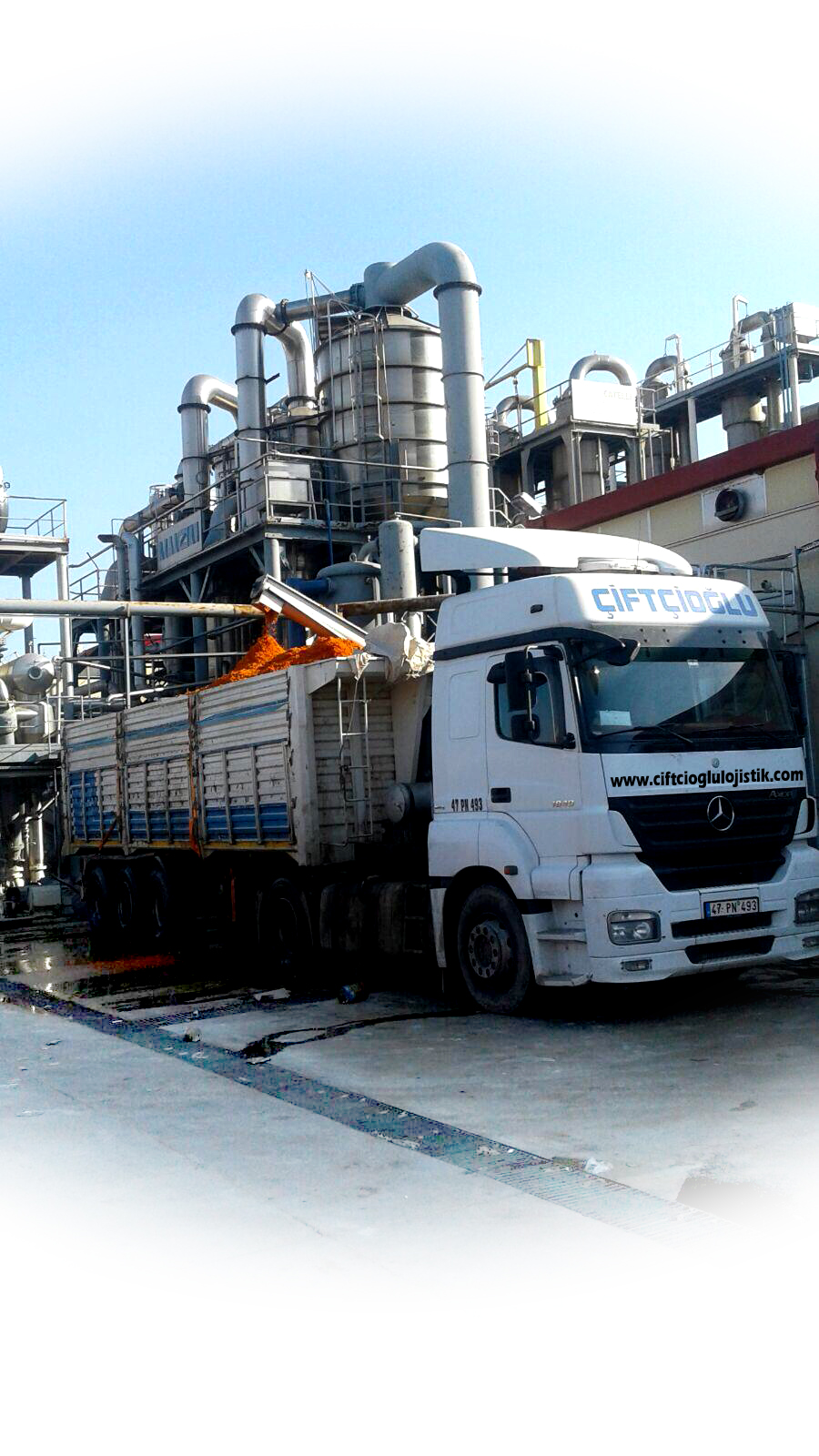 Kuru Dökme Yük Taşımacılığı 